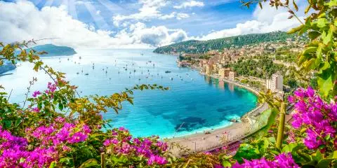 Titelbild für Blumenriviera – Monaco – Nizza
