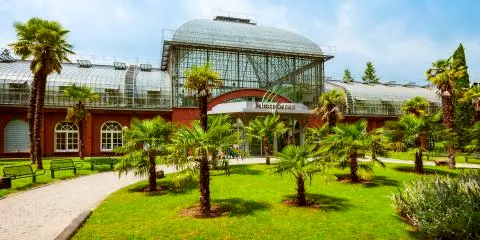 Titelbild für Frankfurt Palmengarten